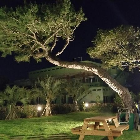 Tov Pension Seogwipo Bagian luar foto